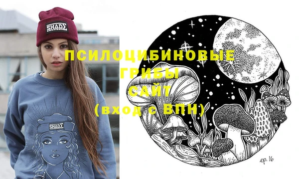 ГАЛЛЮЦИНОГЕННЫЕ ГРИБЫ Аркадак