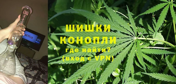 ГАЛЛЮЦИНОГЕННЫЕ ГРИБЫ Аркадак